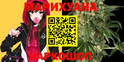 сатива Аргун