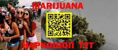 сатива Аргун